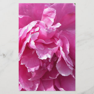 Pink Peony Stationery