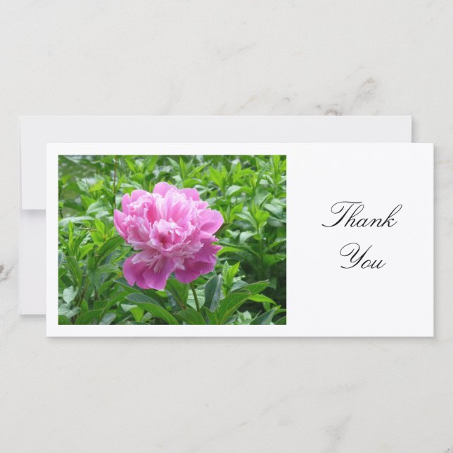 Pink Peony - Thank You Card (Front)