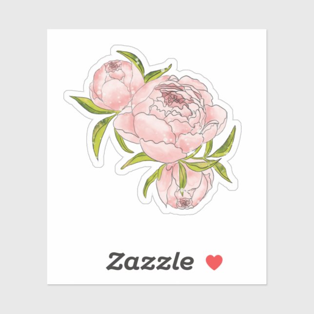 Pink Peony Watercolor Hand-drawn Illustration  (Sheet)