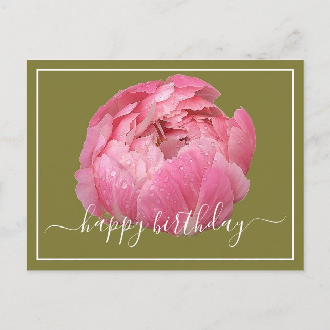 Pink Peony With Dew Drops Green Backdrop Birthday Postcard (Front)