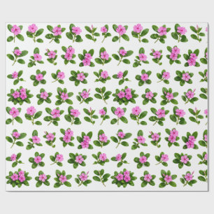 Pink Periwinkle Flower Botanical Set Sadabahar Wrapping Paper