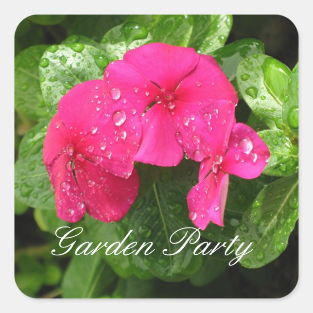 Pink Periwinkle - Garden Party Stickers (Front)