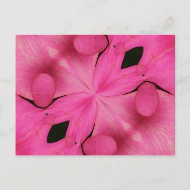 Pink Petal Abstract Postcard (Front)