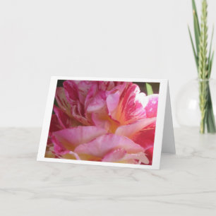 Pink Petal Flutter Rose Greeting or Note Cards