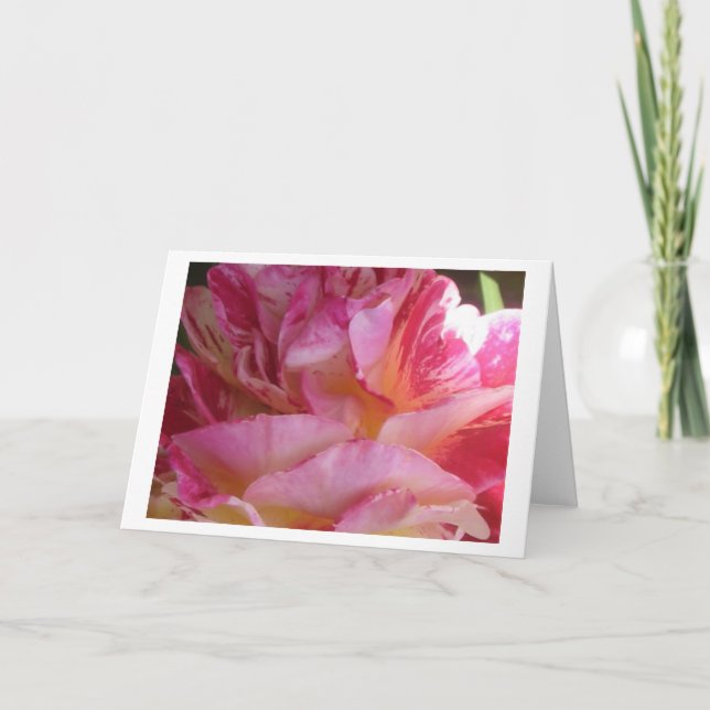 Pink Petal Flutter Rose Greeting or Note Cards (Front)