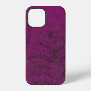Pink petaled flower field iPhone 12 case
