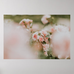 PINK PETALED FLOWERS POSTER