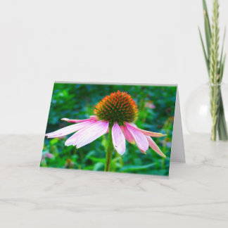 Pink Petals Floral Sympathy Card