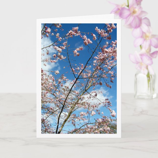 Pink Petals in Blue Sky Landscape Card (Orchid)