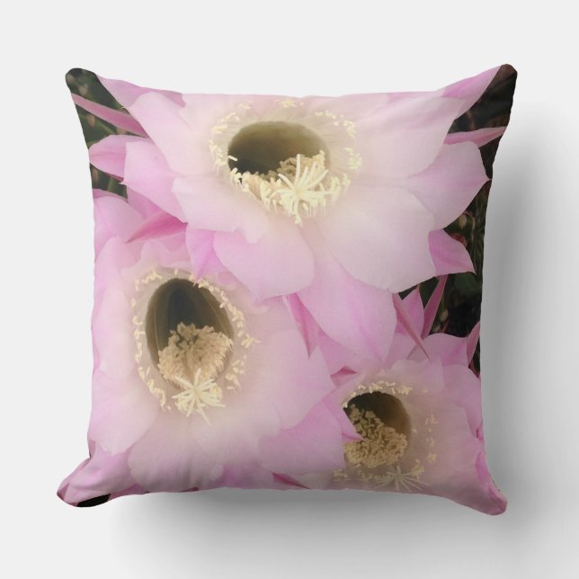 pink petals of the desert  cushion (Front)