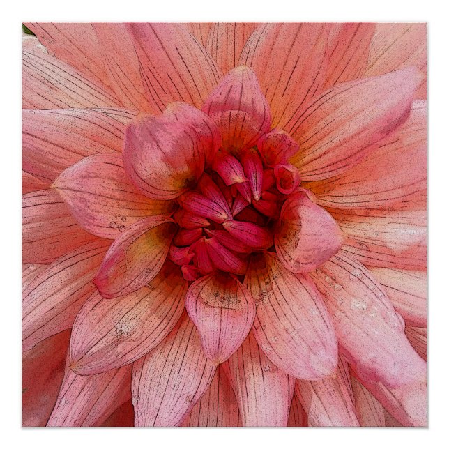 pink petals poster (Front)