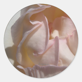Pink Petals Rose Wedding Envelope Seal