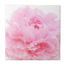 pink petals