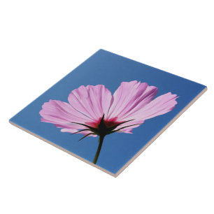 Pink petals tile