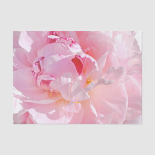 pink petals tissue paper
