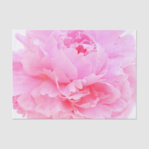 pink petals tissue paper