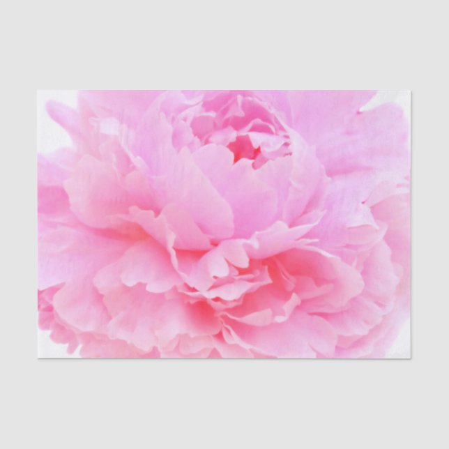pink petals tissue paper (Front)