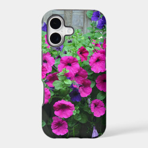 Pink petunia beauty