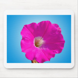 pink petunia flower in blue background. mouse mat
