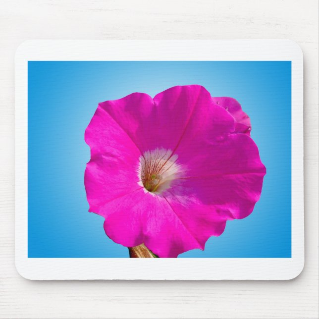 pink petunia flower in blue background. mouse mat (Front)
