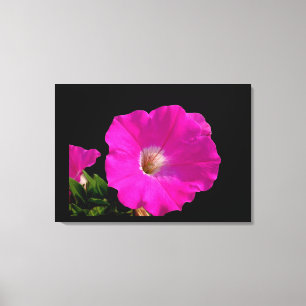 pink petunia flowers canvas print
