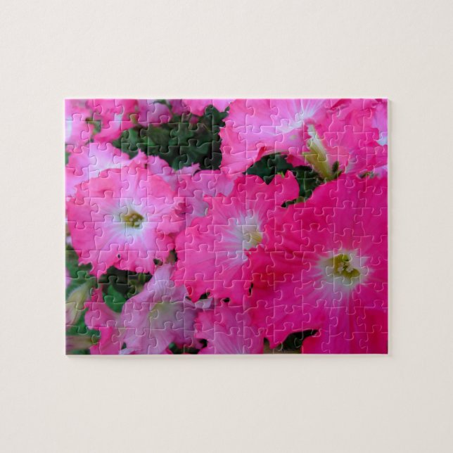 Pink petunias jigsaw puzzle (Horizontal)