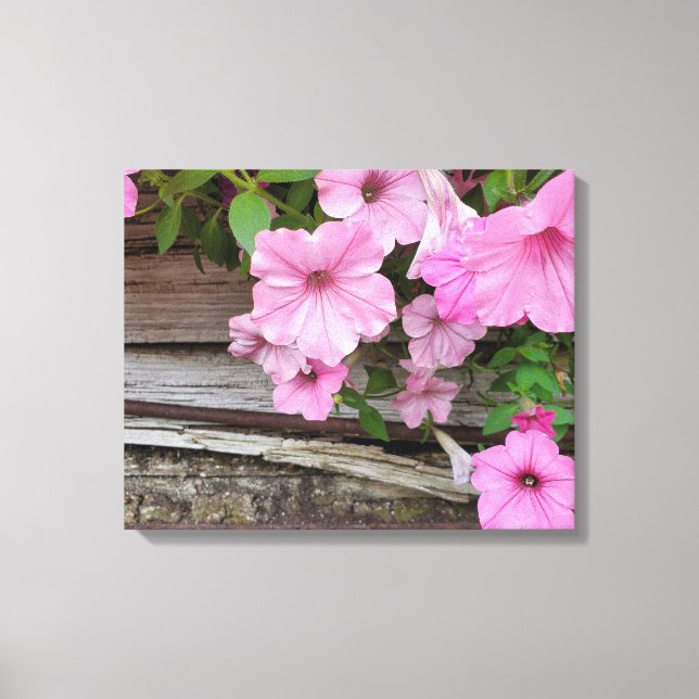 Pink Petunias On Barn Wood Canvas Print (Front)