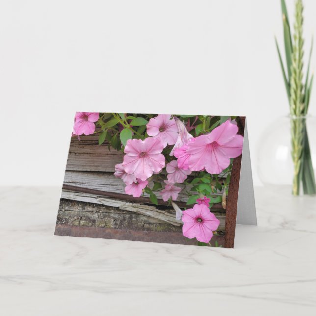 Pink Petunias On Rustic Wood Card (Front)