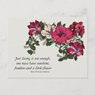 Pink Petunias with Hans C Andersen quote Postcard