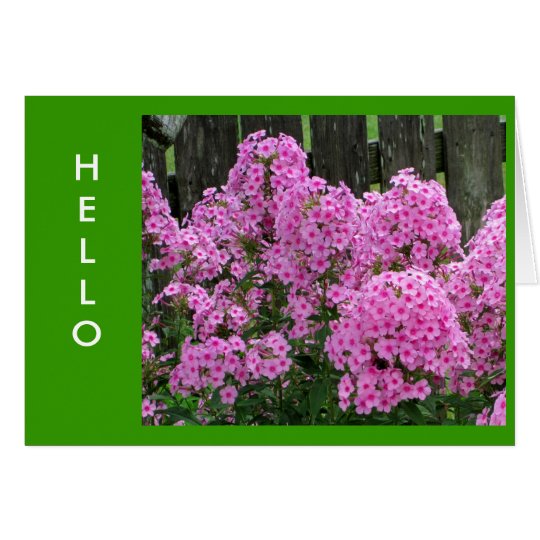 Pink Phlox and Fence Card