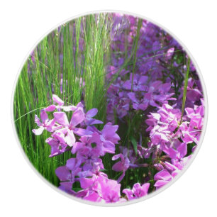 Pink Phlox and Grass Summer Floral Ceramic Knob