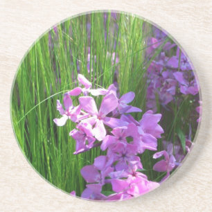 Pink Phlox and Grass Summer Floral Coaster