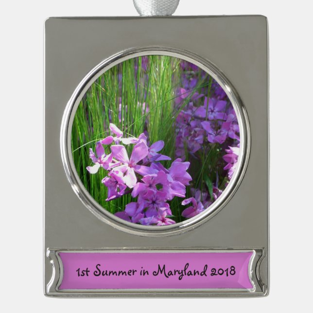 Pink Phlox and Grass Summer Floral Silver Plated Banner Ornament (Front)