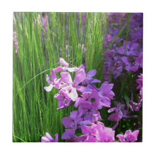 Pink Phlox and Grass Summer Floral Tile