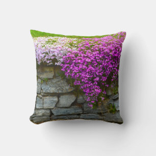 Pink Phlox Pillow