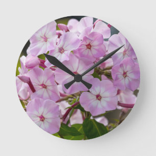 Pink Phlox Round Clock
