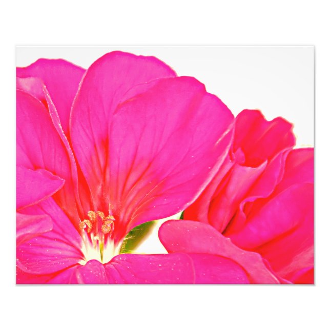 Pink Photo Print (Front)