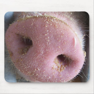 Pink Pig nose close up photograph Mouse Mat