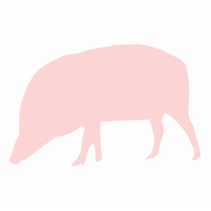 Pink Pig Photo Sculpture