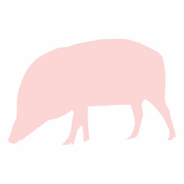 Pink Pig Photo Sculpture (Front)