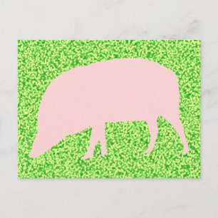 Pink Pig Postcard