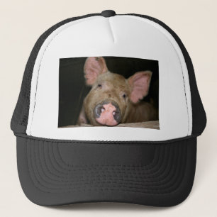 Pink Piglet Trucker Hat