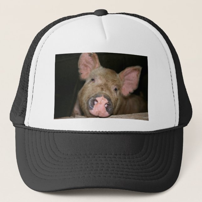 Pink Piglet Trucker Hat (Front)