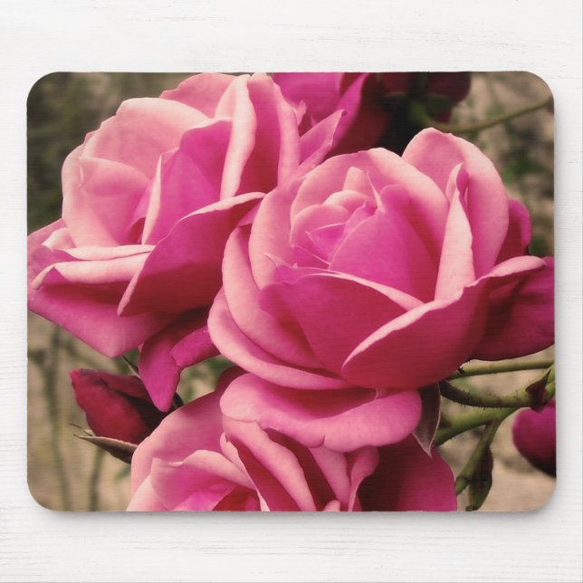 Pink Pirouette Roses Mouse Mat (Front)