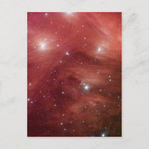 Pink Pleiades Infrared SSC2007 07b Postcard