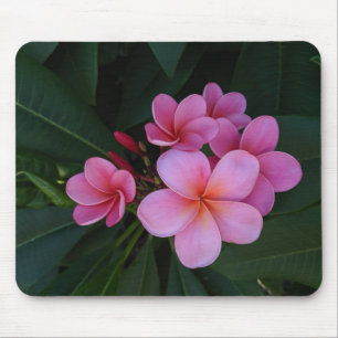 Pink Plumeria Floral Images Mouse Mat