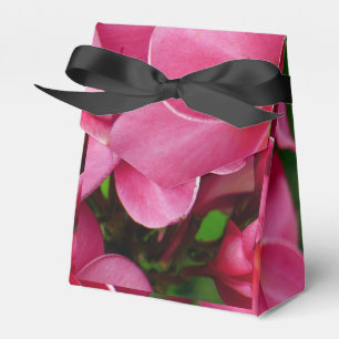 Pink plumeria floral photo favour box