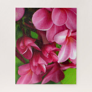 Pink Plumeria Flower Photo Jigsaw Puzzle