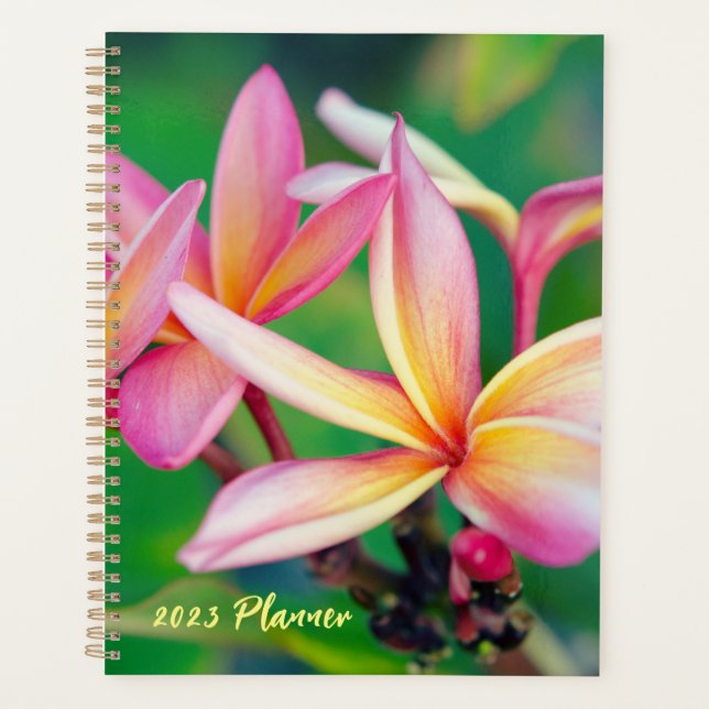 Pink Plumeria Flower Planner (Front)