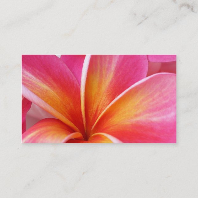 Pink Plumeria Frangipani Hawaii Flower Hawaiian Business Card (Front)